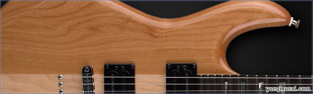 吉他與貝司常見使用的木料簡介